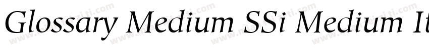 Glossary Medium SSi Medium Italic字体转换